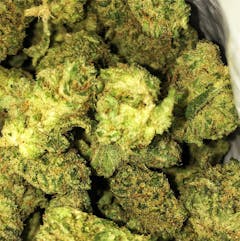 User uploaded image of Glue Tech