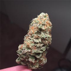 User uploaded image of Go Time