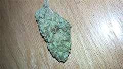 User uploaded image of Go Time