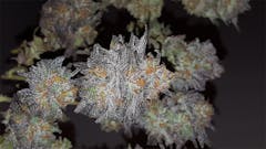 User uploaded image of Gobbilygoo