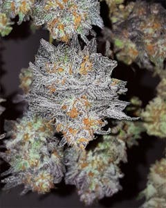 User uploaded image of Gobbilygoo