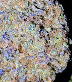 User uploaded image of Gobbstopper