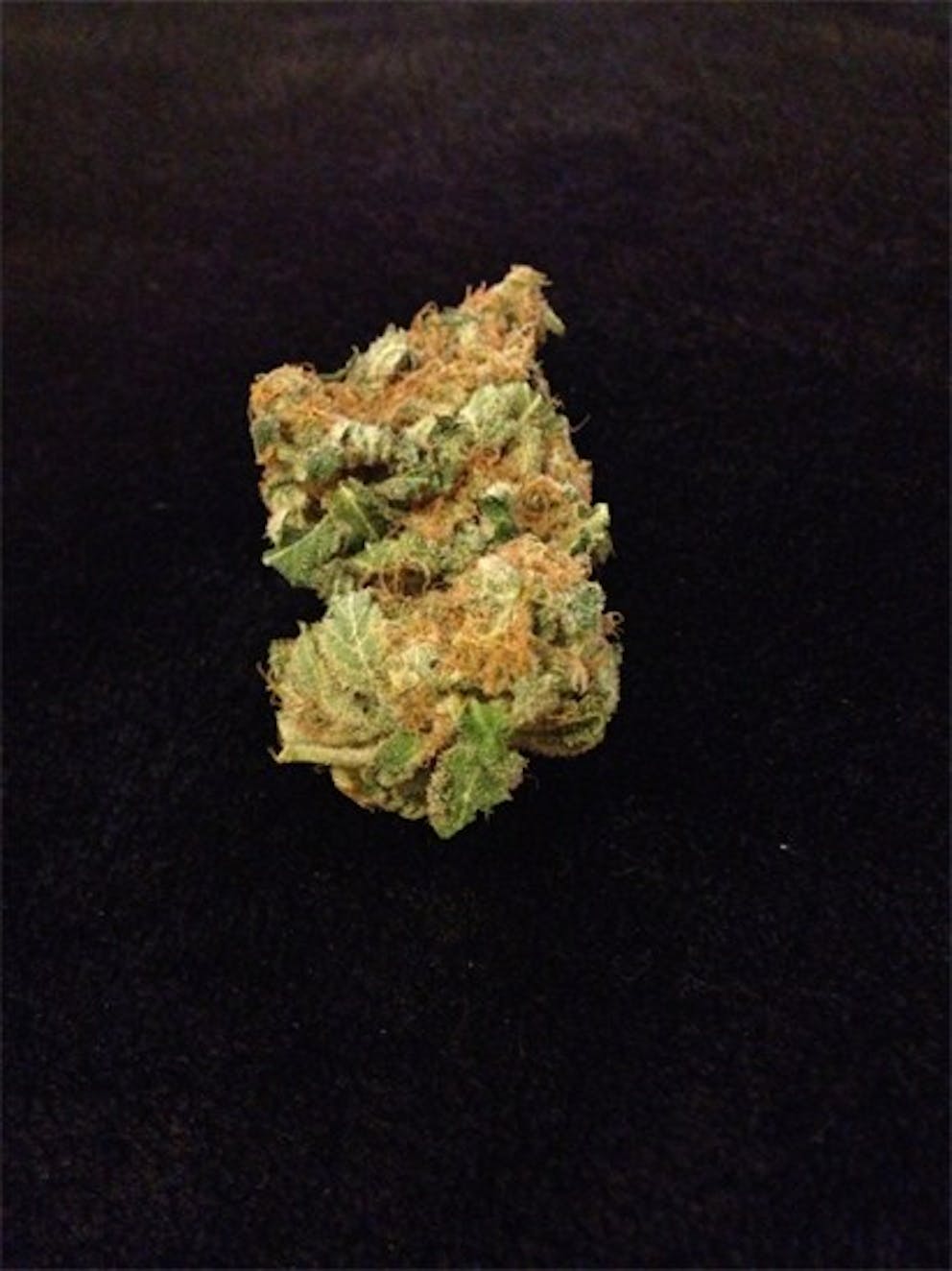Photos of God Bud Weed Strain Buds Leafly