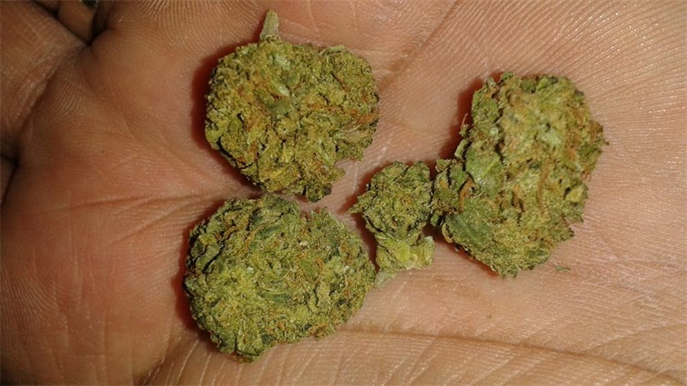 Photos of God Bud Weed Strain Buds Leafly