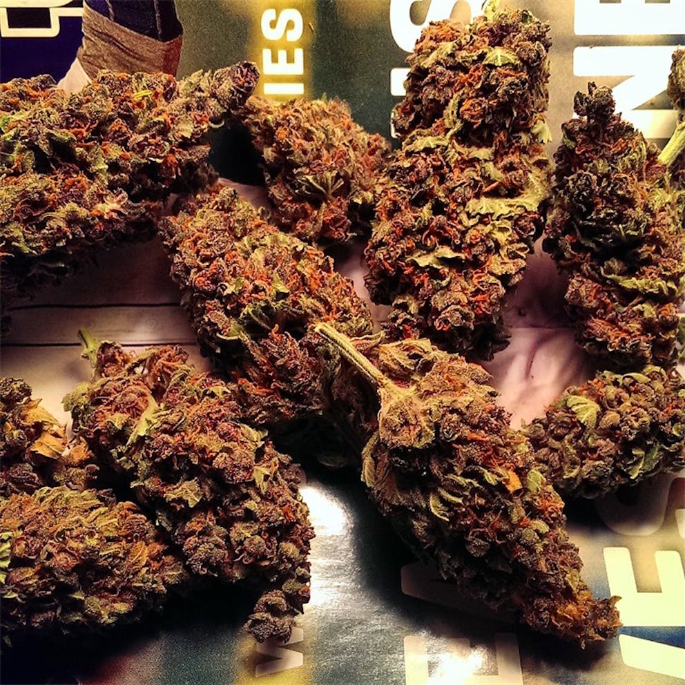 Photos of God Bud Weed Strain Buds Leafly