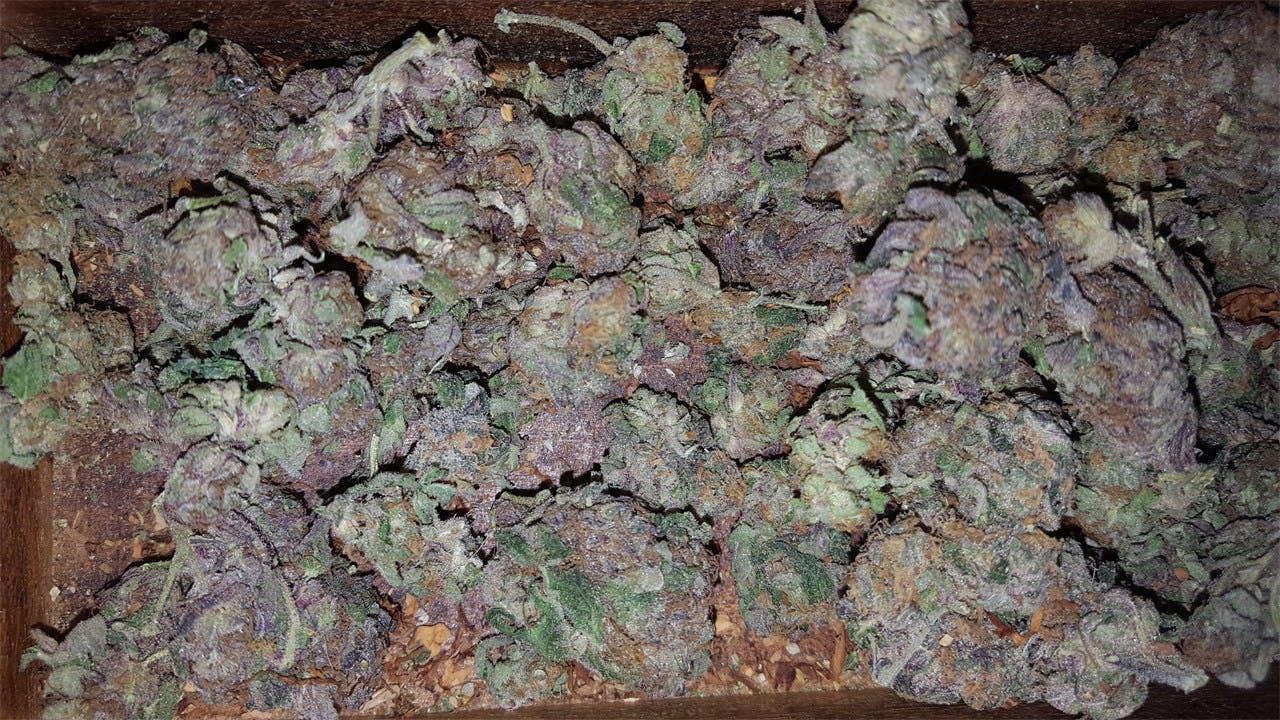 God Bud aka Purple God Bud Weed Strain Information Leafly
