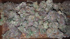 User uploaded image of God Bud