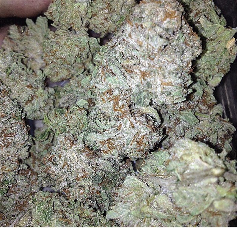 Photos of God Bud Weed Strain Buds Leafly