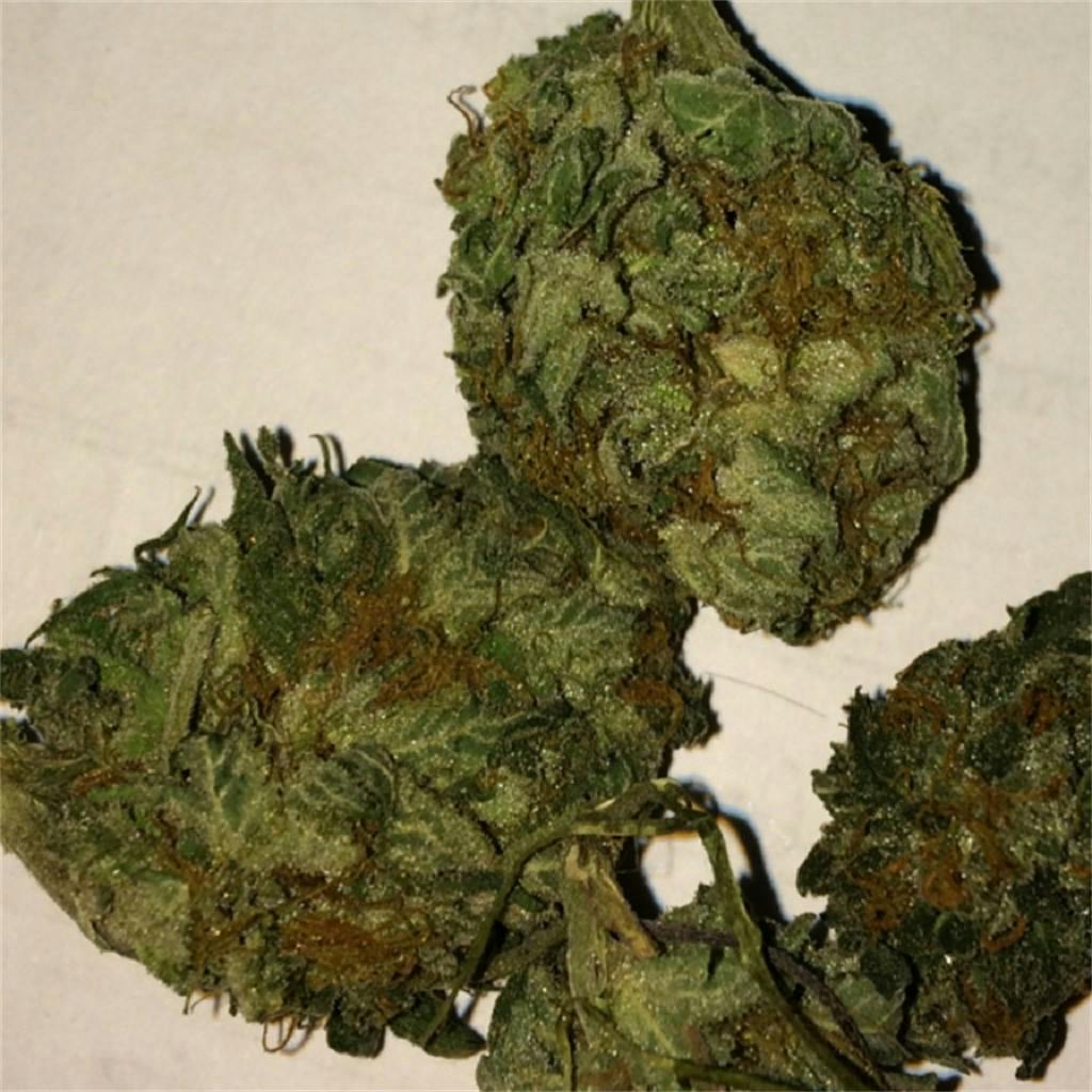 God Bud aka Purple God Bud Weed Strain Information Leafly