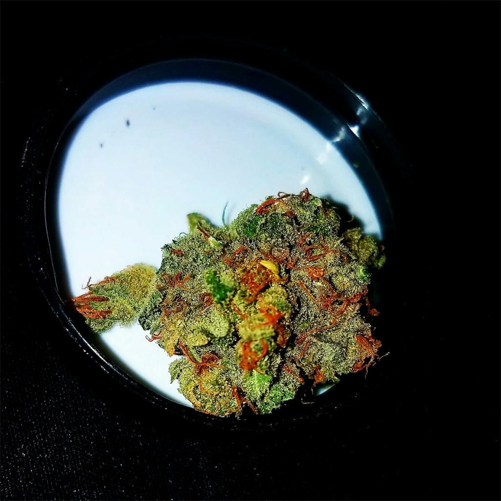 God Bud aka Purple God Bud Weed Strain Information Leafly