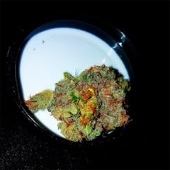 User uploaded image of God Bud