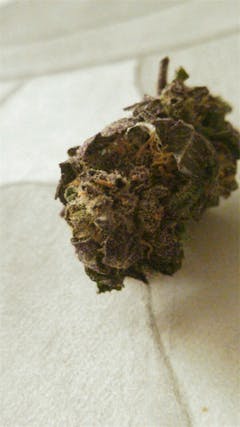 User uploaded image of God's Gift