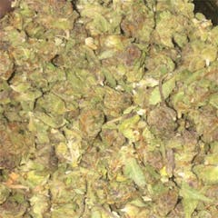 User uploaded image of God's Gift