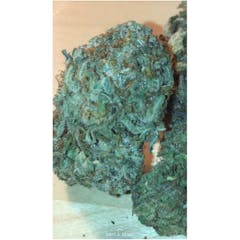 User uploaded image of God's Green Crack