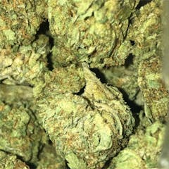 User uploaded image of God's Treat