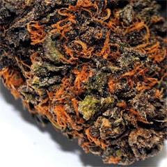 User uploaded image of Godberry