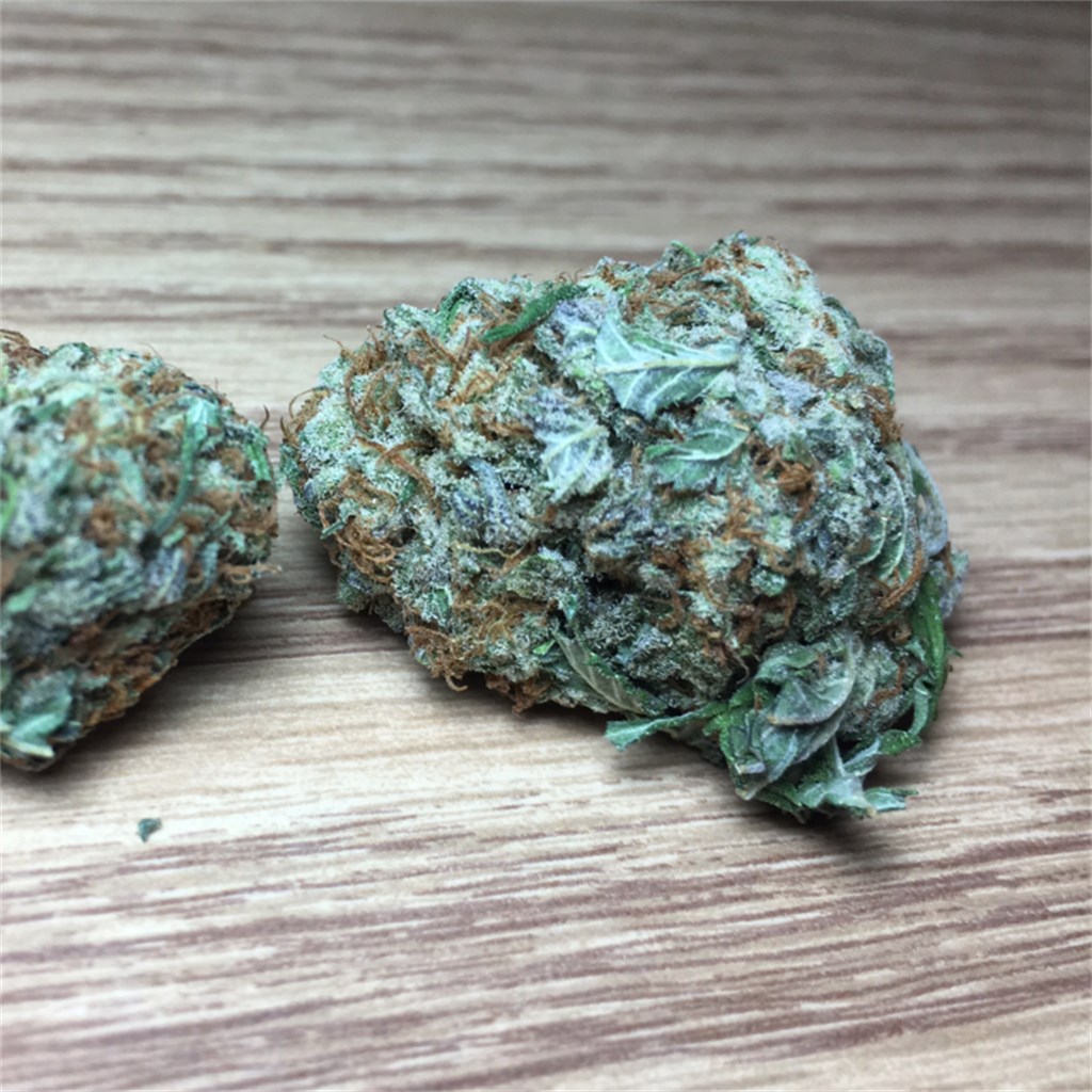 Inferior pot feminized Godfather OG - great for curing HIV/AIDS