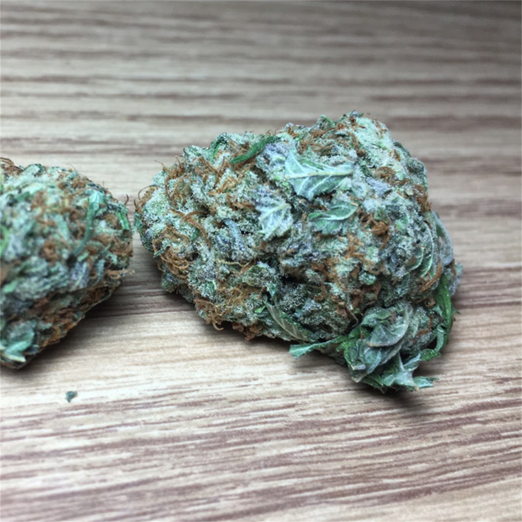 Order marijuana feminized Godfather OG seed online - UK - safe