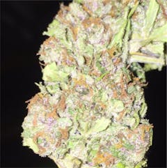 User uploaded image of Godfather Purple Kush