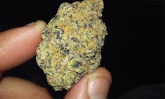 User uploaded image of Godfather Purple Kush