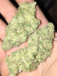 User uploaded image of Godzilla