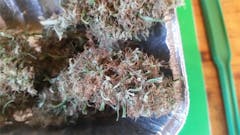 User uploaded image of Godzilla