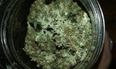 User uploaded image of Godzilla