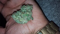 User uploaded image of Gog & Magog