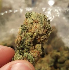 User uploaded image of Goji Diesel