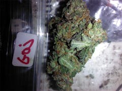 User uploaded image of Goji OG