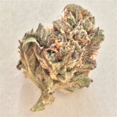 User uploaded image of Goji OG