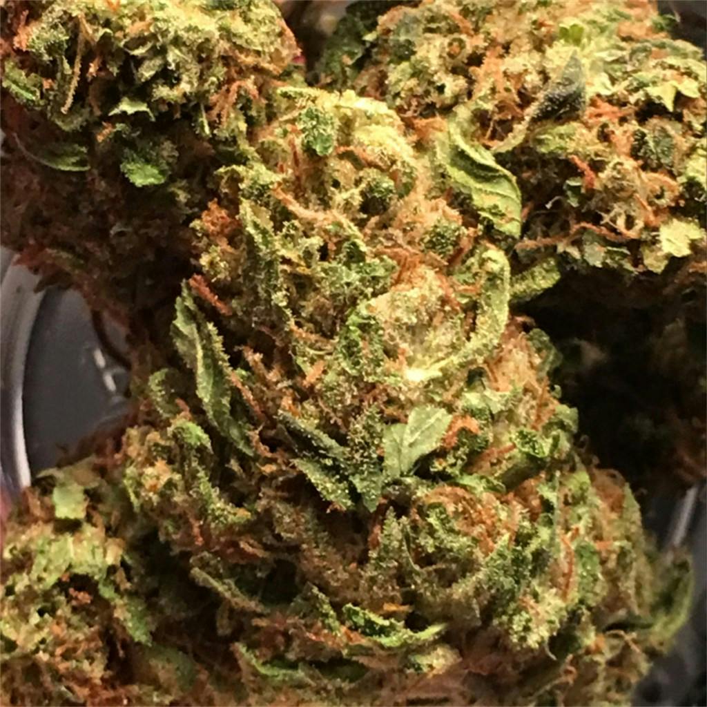 Golden Gage Weed Strain Information Leafly