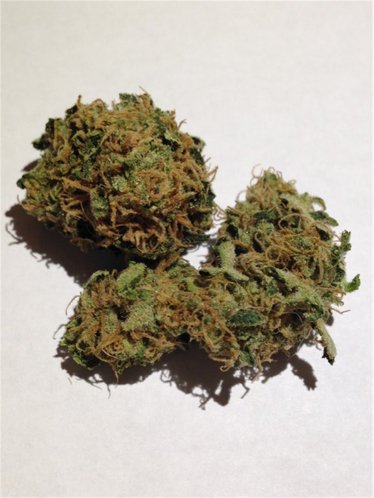 Photos of Golden Goat Weed Strain Buds Leafly