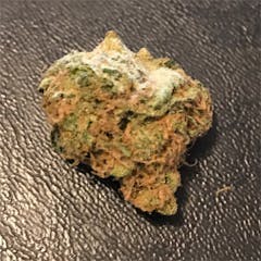 User uploaded image of Golden Goat
