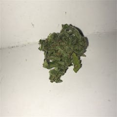 User uploaded image of Golden Goat