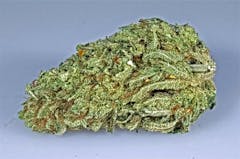 User uploaded image of Golden Lemon