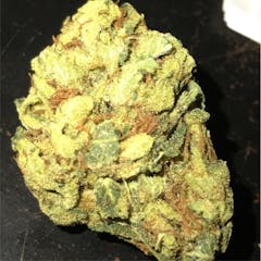User uploaded image of Golden Lemon