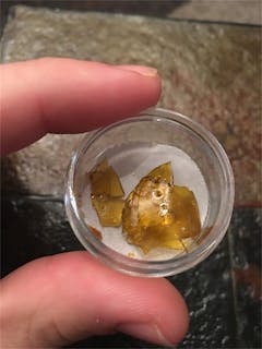 User uploaded image of Golden Panda