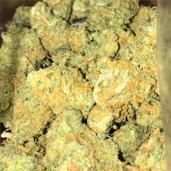 User uploaded image of Golden Pineapple