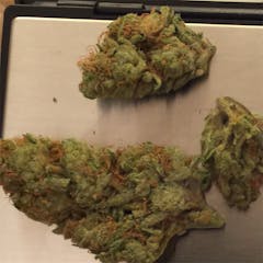 User uploaded image of Golden Ticket