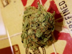 User uploaded image of Goo