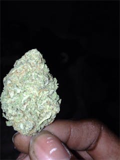 User uploaded image of Goo