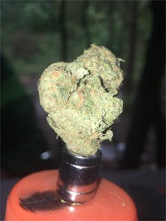 User uploaded image of Goo