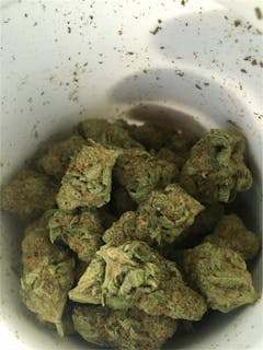 User uploaded image of Good Medicine