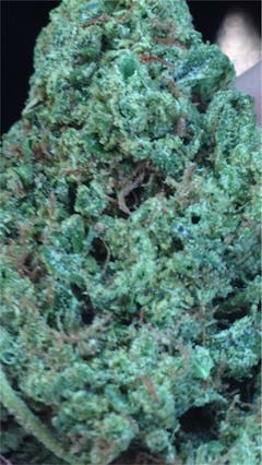 User uploaded image of Good Medicine