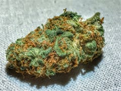 User uploaded image of Good Medicine
