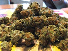 User uploaded image of Good Medicine