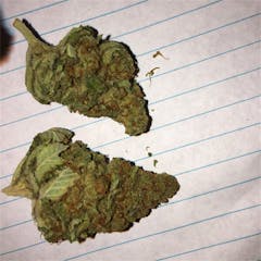 User uploaded image of Good Medicine
