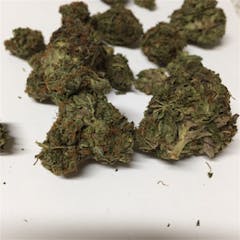 User uploaded image of Gorilla Biscuit