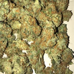 User uploaded image of Gorilla Biscuit